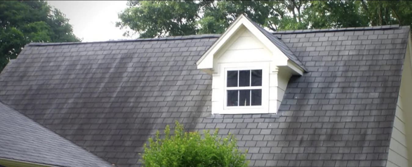 Black streaks on a roof in Oahu Hawaii before soft wash roof cleaning