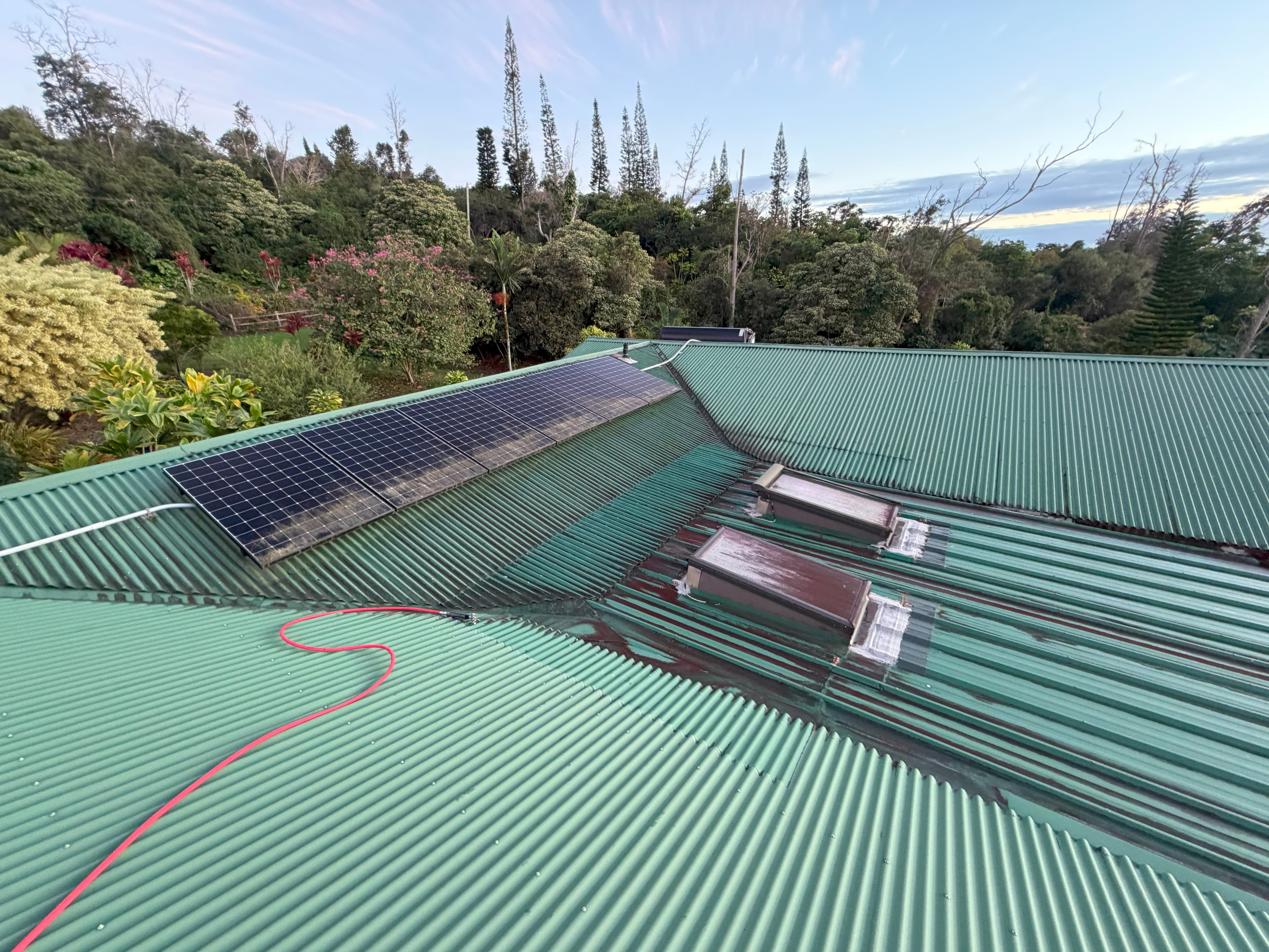 Roof with moss and stains before roof cleaning in Captain Cook Hawaii