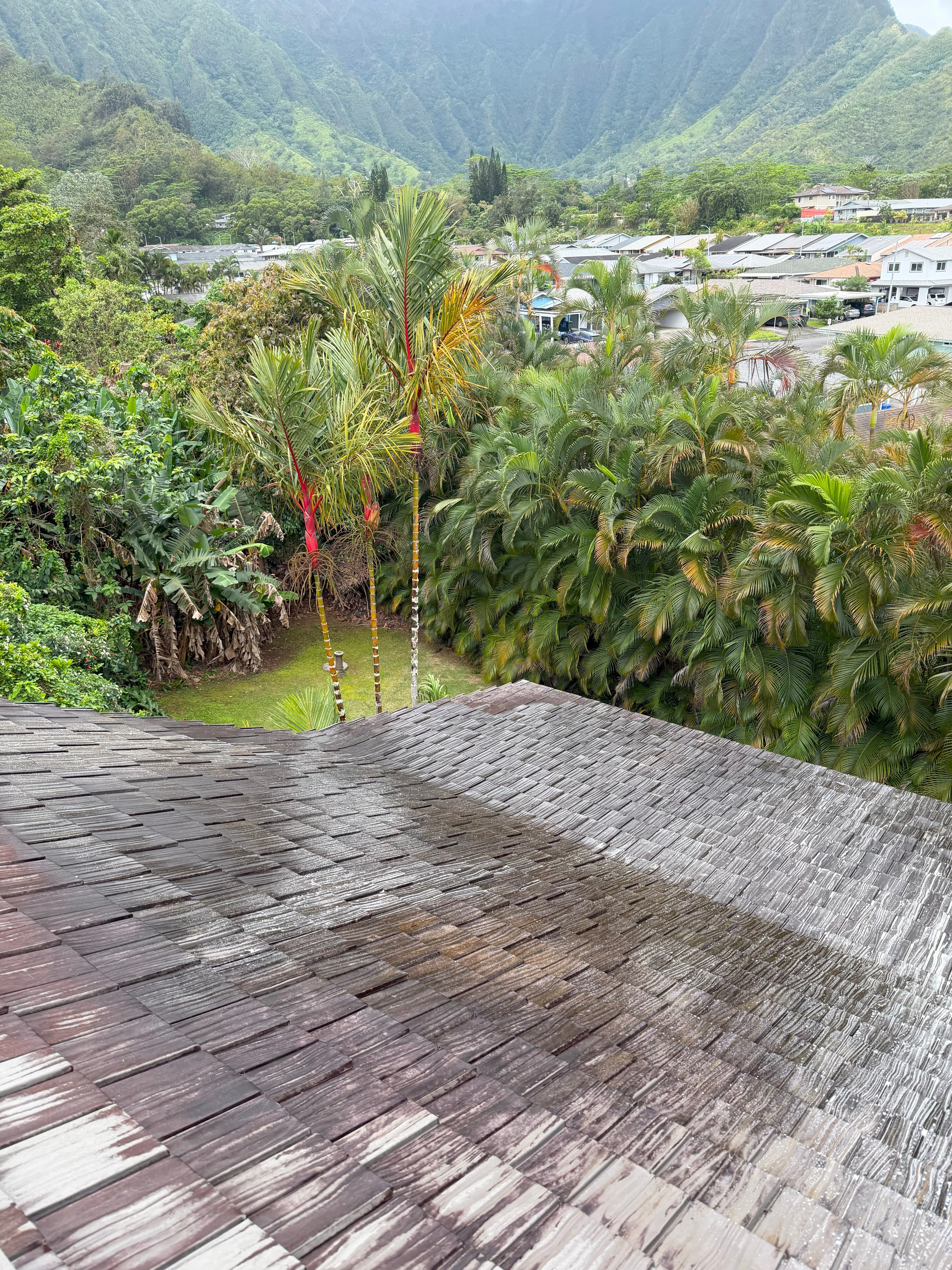 Roof before soft washing on Oahu Hawaii showing moss and stains