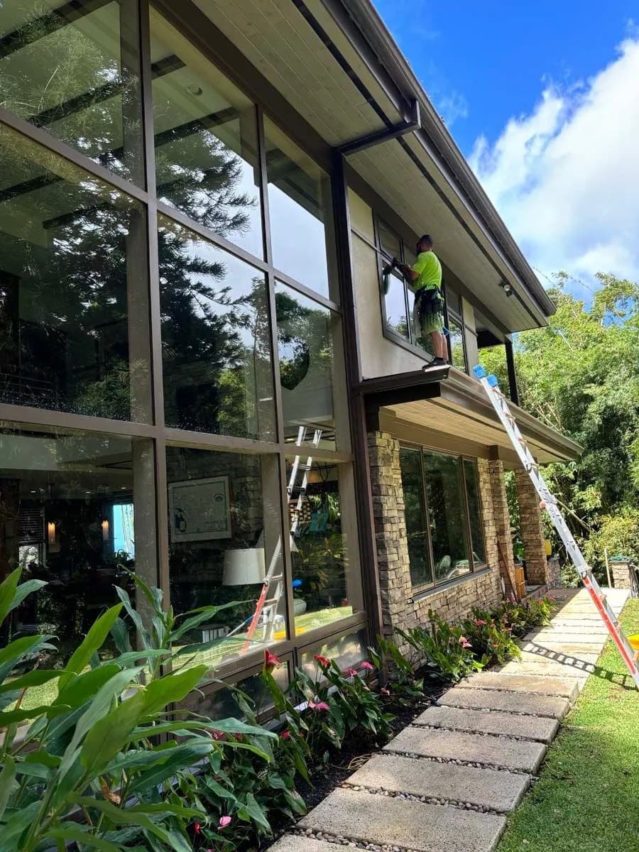 Clean windows after professional cleaning in Oahu Hawaii
